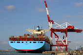 Xuất khẩu tiến 1, nhập khẩu “nhảy” 5 