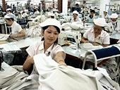 Thị trường EU: Thách thức và cơ hội