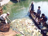 Rào cản cho nông sản đi Mỹ