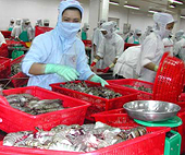 Những quy định mới về lớp mạ băng đối với thủy sản đông lạnh ở Nga