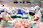 Thủy sản Việt Nam sẽ gặp khó nếu để tỷ lệ mạ băng quá cao