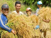 Việt Nam- Thụy Điển: Tăng cường hợp tác trong lĩnh vực nông nghiệp