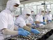 “Dự đoán xuất khẩu thủy sản thấp hơn kế hoạch”