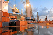 9 tháng: Kim ngạch xuất nhập khẩu Việt Nam-Thụy Sĩ đạt 520,452 triệu USD