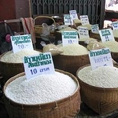 Thái mất vị trí số một về xuất khẩu gạo tại ASEAN