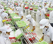 DN Việt “lơ mơ” về rào cản thương mại