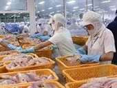 Tận dụng tốt ưu thế FTA