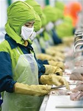Tham gia FTA lợi hay hại?