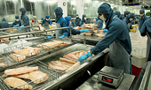 Xuất khẩu hải sản sang EU giảm 11% vì quy định IUU