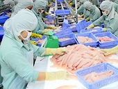 Brazil: Tiềm năng nhưng lắm rủi ro cho cá tra Việt