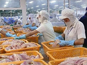 Cần hướng sang các thị trường phi truyền thống và mới nổi