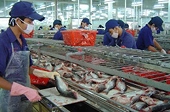 Mỹ áp thuế chống bán phá giá cá tra: Việt Nam sẽ tìm “đồng minh” tại Mỹ