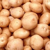 Trung Quốc khởi xướng điều tra chống trợ cấp đối với tinh bột khoai tây của EU