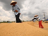 Phát triển thương mại theo chiều sâu