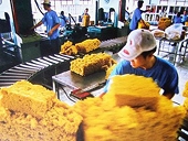 Ấn Độ: Trao đổi thương mại diễn ra mạnh mẽ