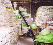 Thái Lan nhất trí lập kho dự trữ gạo ASEAN+3