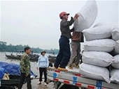Thương mại Trung Quốc-ASEAN tăng trong 8 tháng đầu năm