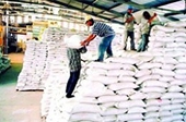 Kinh doanh xuất khẩu gạo phải có kho chứa tối thiểu 5.000 tấn 