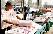 Triển khai thí điểm bảo hiểm tín dụng xuất khẩu