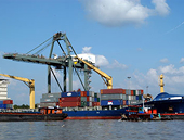 Nhật công bố thông tin xuất khẩu gây thất vọng 