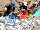 CFA thiếu lành mạnh trong cạnh tranh thương mại 