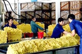 Nhiều mặt hàng vượt “đích” xuất khẩu năm 2010