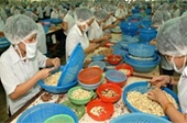Xuất khẩu 2010: Nhiều khả năng vượt 70 tỷ USD 