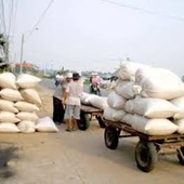 Indonesia tạm ngừng đánh thuế gạo nhập khẩu