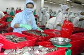 Lo xuất khẩu năm tới