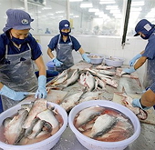 WWF đưa cá tra vào danh sách đỏ tiêu dùng: Đi ngược lại lợi ích
