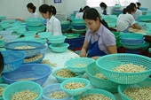 Xuất khẩu nông sản gặp khó khăn về giá