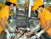 Quý 1-2011 sẽ áp dụng giá sàn xuất khẩu cá tra