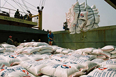 Xuất, nhập khẩu năm 2010 đã cán đích 