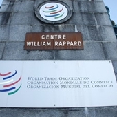 Kết thúc phần tranh tụng vụ kiện tôm VN tại WTO