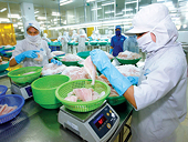 Xuất khẩu 2010: Phía sau bức tranh nhiều màu sáng