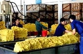 Xuất khẩu nông, lâm, thủy sản 2010: “Câu lạc bộ tỷ đô” 