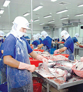 Cá tra Việt Nam chọn Nga là thị trường trọng điểm