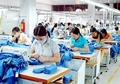 Thị phần dệt may gia tăng tại Mỹ