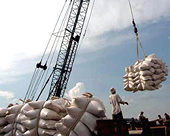 Mở rộng doanh nghiệp tham gia xuất khẩu gạo
