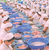 Bỉ và Nauy chưa thực hiện cam kết rút cá tra ra khỏi danh sách đỏ 