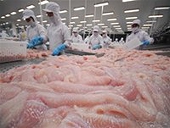 Nafiqad lưu ý an toàn vệ sinh hàng thủy sản xuất khẩu 