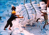 Quan hệ thương mại Việt Nam - Ấn Độ năm 2010 và triển vọng năm 2011 