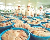 Mỹ giảm thuế chống phá giá với cá tra Việt Nam