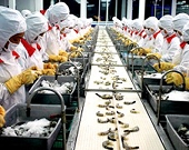 Mỹ gia hạn áp thuế chống bán phá giá mặt hàng tôm thêm 5 năm