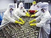 Hướng dẫn thực hiện xác nhận sản phẩm thủy sản chế biến từ thủy sản khai thác NK theo Thông tư 09