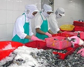 Thuỷ sản xuất khẩu vào Nhật cẩn trọng với kháng sinh Enrofloxacin