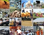 Hiệu quả nhờ WTO chưa cao