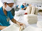 Tất bật xuất hàng sang Nhật