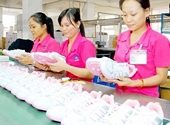 Vẫn phải thận trọng khi xuất hàng vào EU