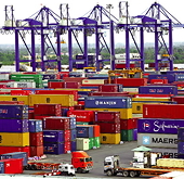 Việt Nam và cú sốc từ hội nhập